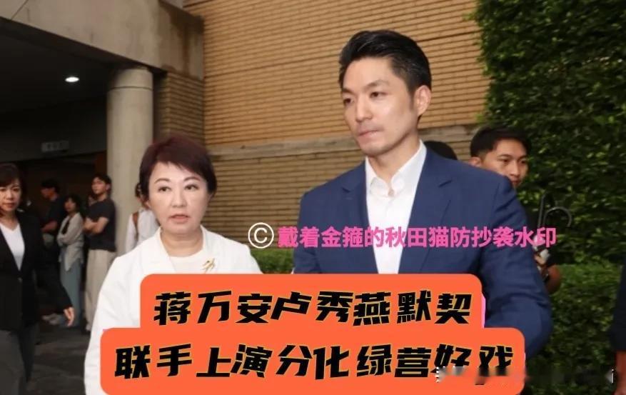 瓦解绿营、助攻柯志恩！蒋万安、卢秀燕联手再秀“神操作”，连番为陈其迈抬轿！绿营