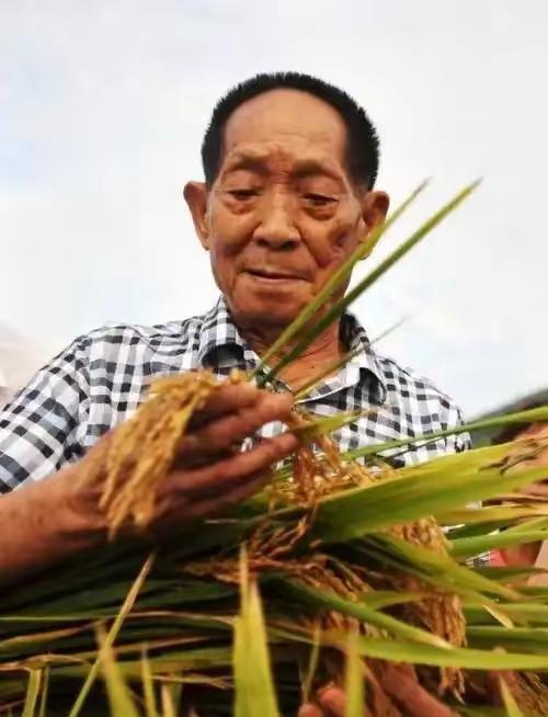 他是顶级院士，却一生踩泥种田！袁隆平袁老的故事，看哭无数中国人。​今早去家乐