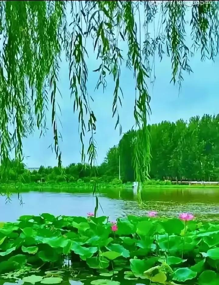 #上联：吉祥如意财源广；请对下联#吉祥如意财源广