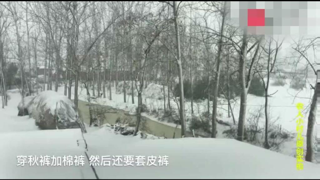 河南周姓人口_周姓图片带字微信头像(3)