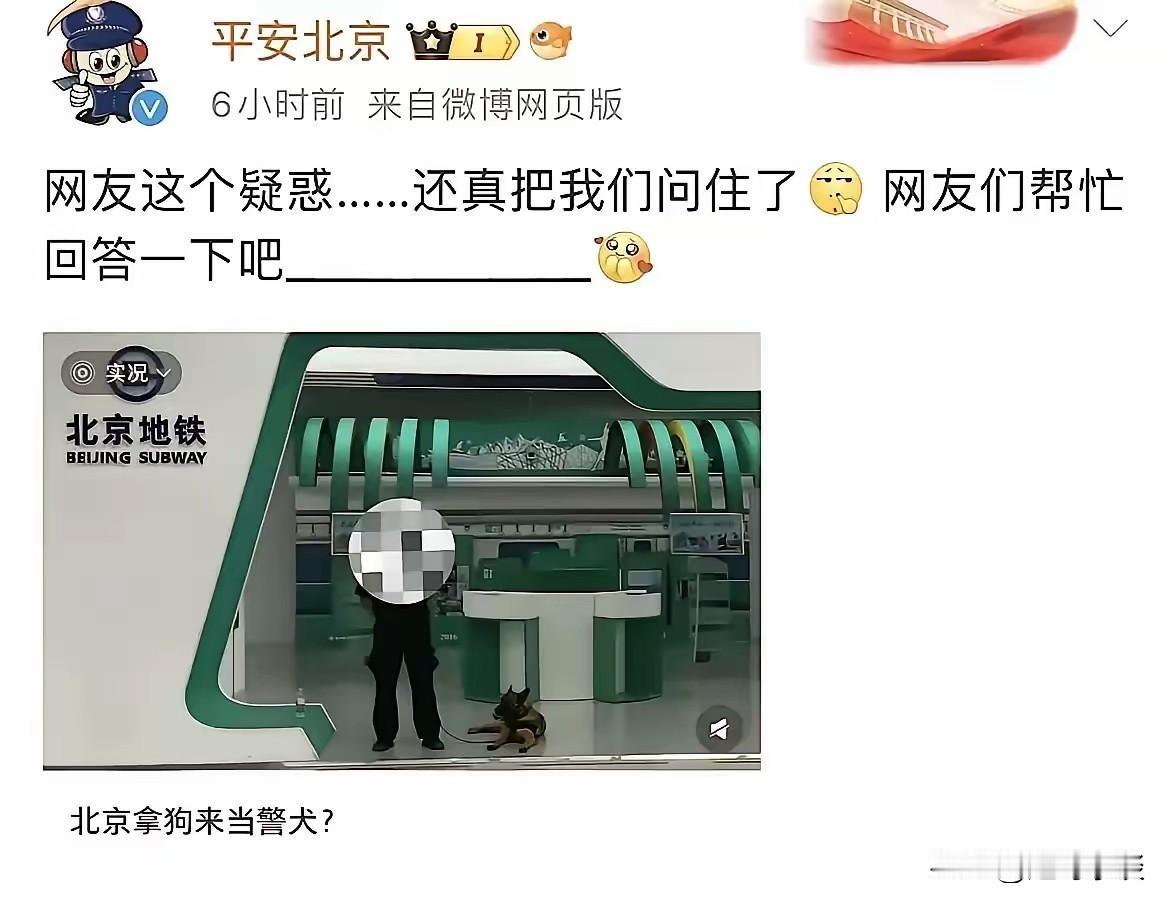 好主意，欧洲老大哥做的榜样不错