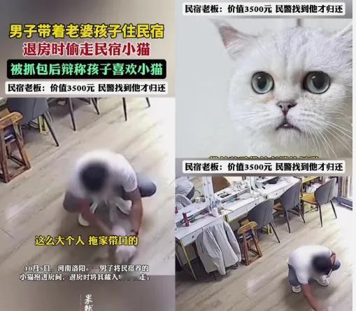 民宿老板查监控时，手都凉了！屏幕里的画面，让他攥着手机的指节发白——