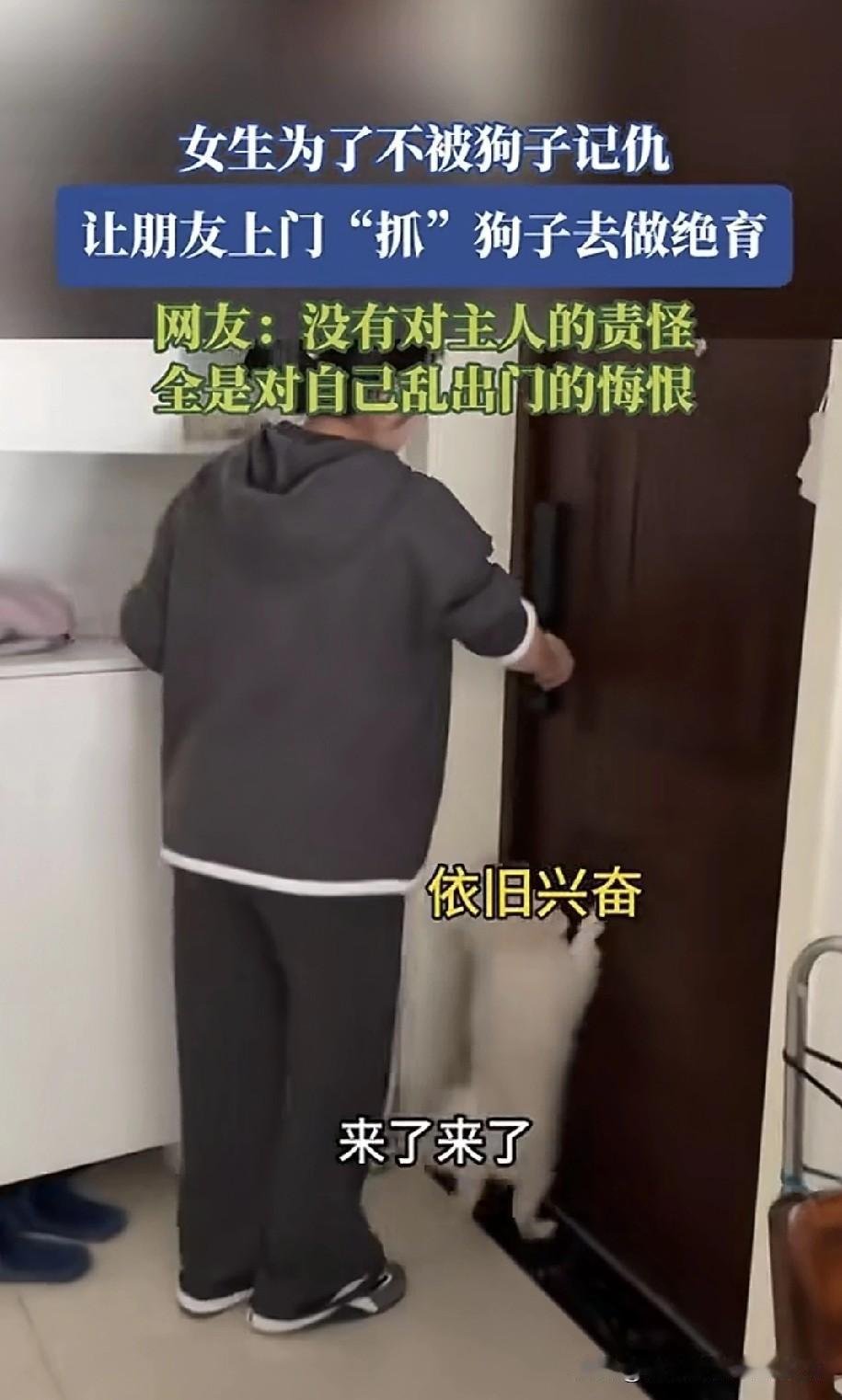 狗：“城市套路深，我要回农村…”农村路也滑，人心那么复杂。山东有位女子打算给自