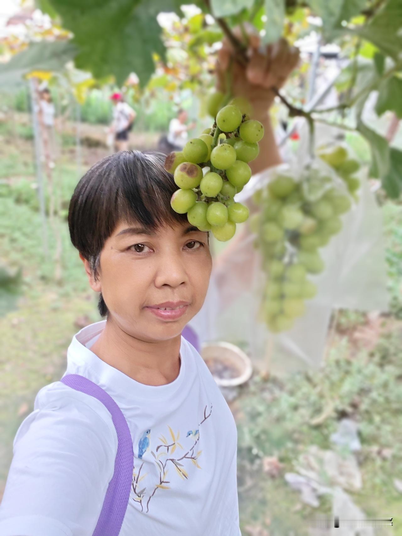 昨天本来高高兴兴的去旅游，结果左边一下头痛，一下耳垂痛，一下下颌角痛，一下一下跳