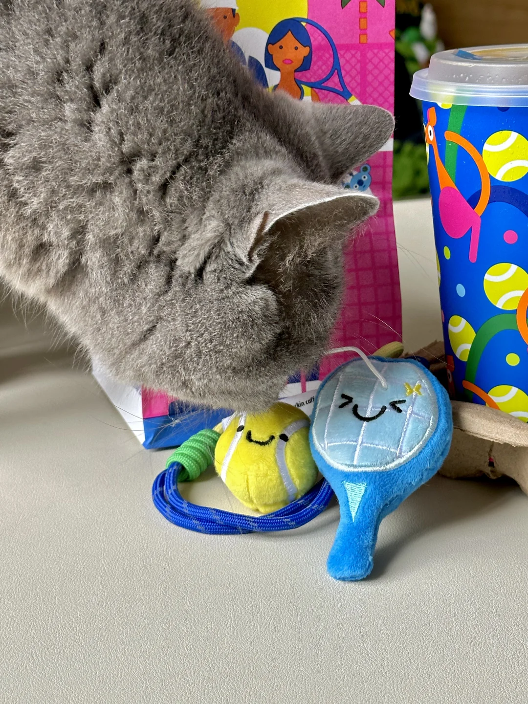 小猫想要🎾小猫得到🐈‍