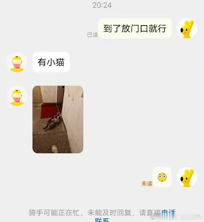 您的骑手可能撸猫去了
