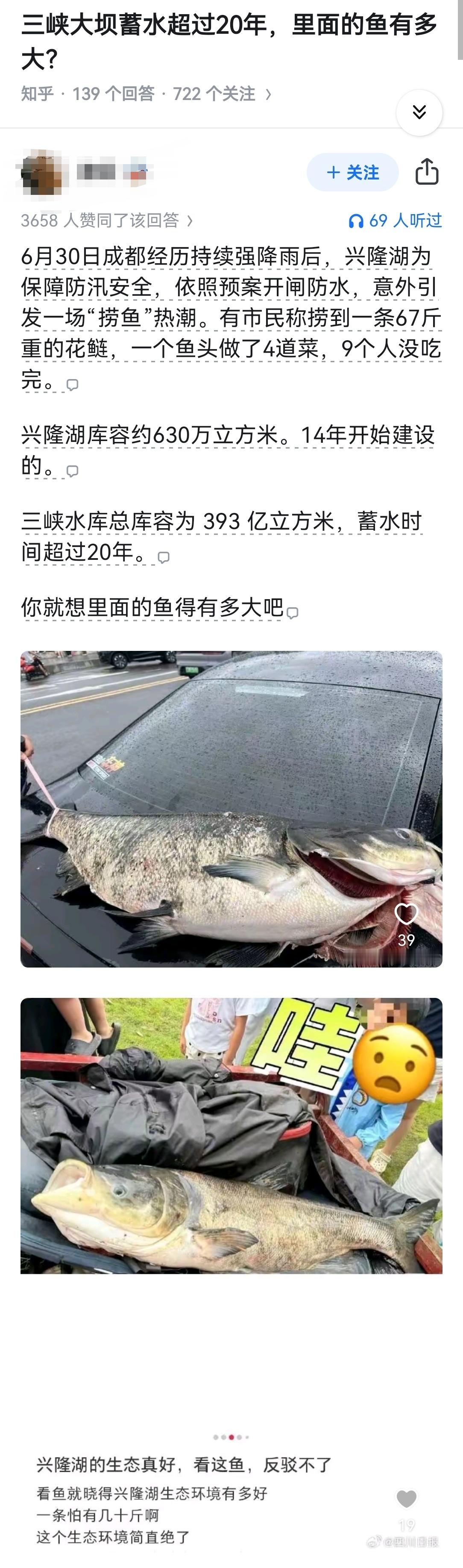 三峡大坝蓄水超过20年，里面的鱼有多大？​​​