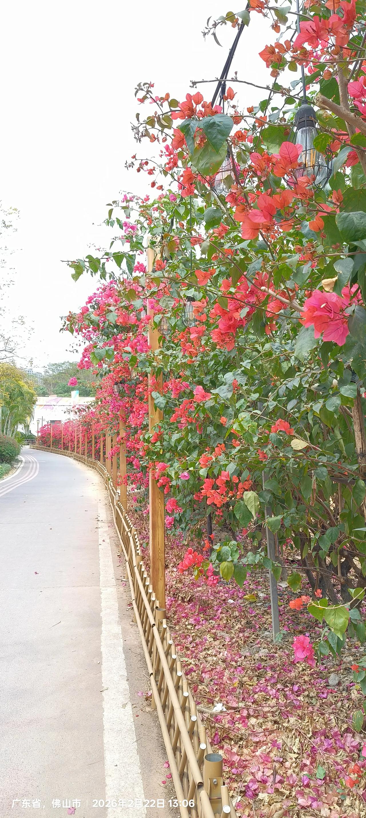 怎样让女人快速兴奋起来的亲密动作，这是豆包给出的答：一、前3分钟：让她先“