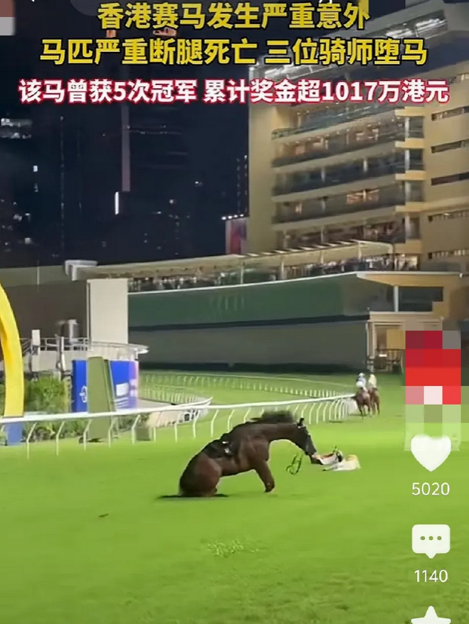 香港赛马会发生严重事故，一匹得过五次冠军的马断腿，然后被人道处理了。为什