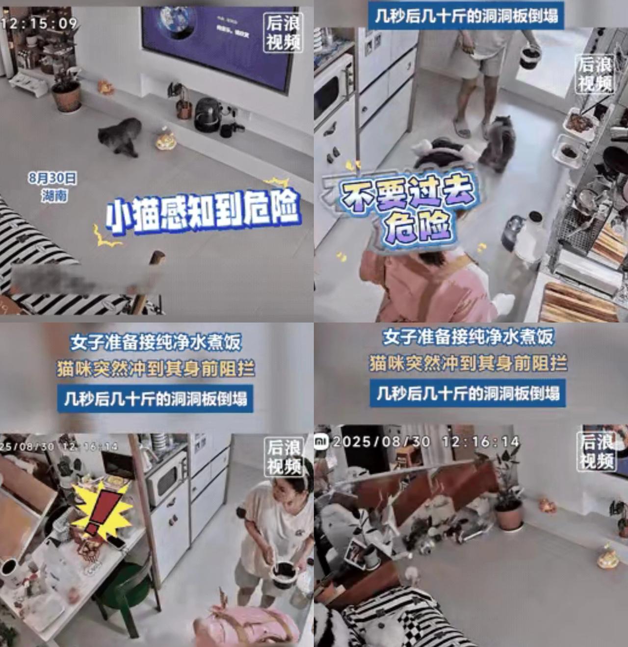 谁能想到，一只平时只会黏人要抱抱的小猫咪，居然能在关键时刻救下主人的命！