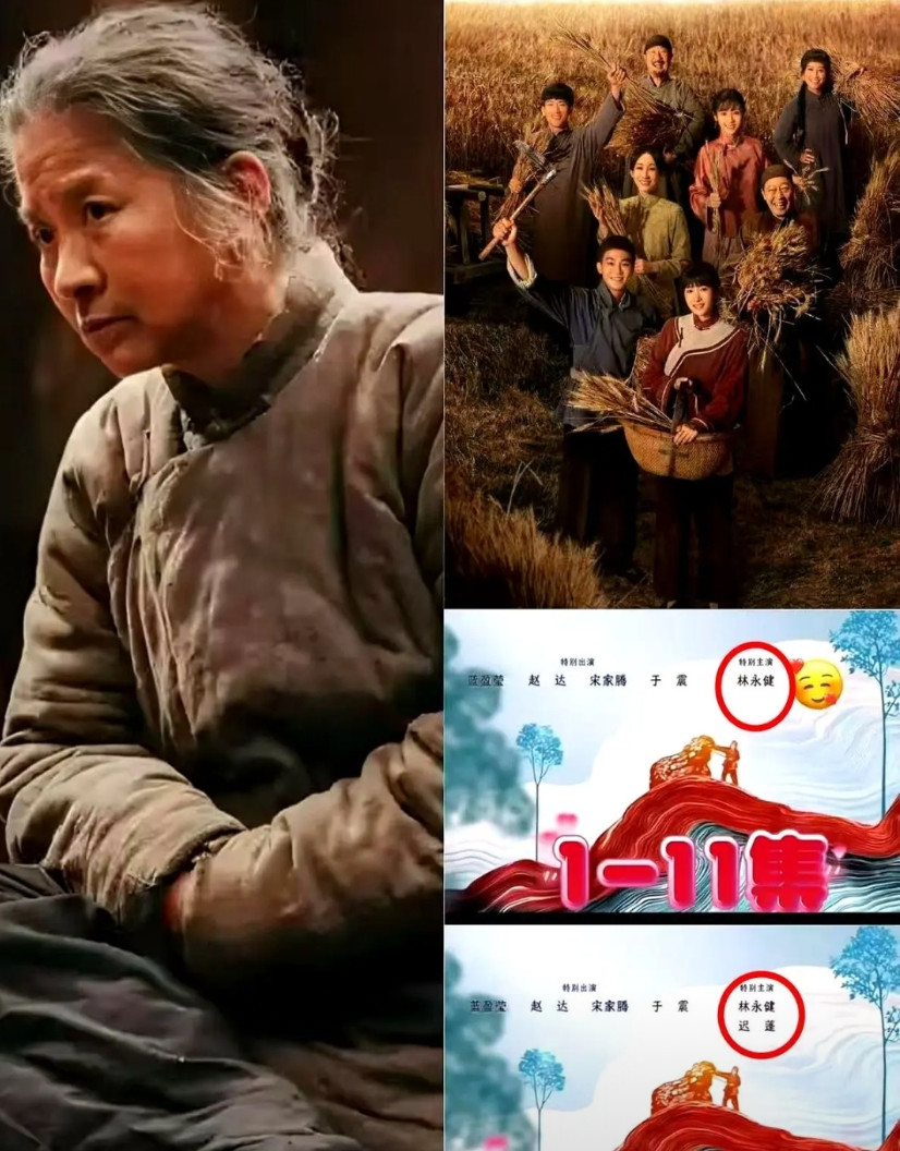 迟蓬被除名，收视率却靠她翻盘，剧组的脸疼不疼？第12集才补名字，海报上没她，演