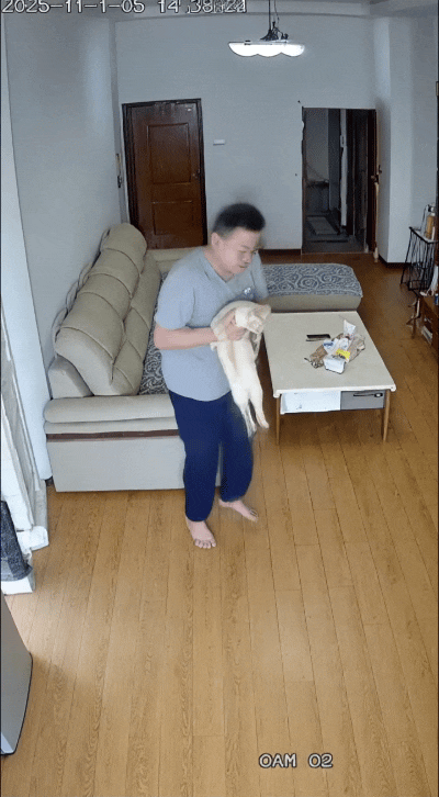 这大哥昨晚吃哩跟小猪样儿，抱着小白猫拍胸脯嘚瑟：“走！咱俩蹦跶蹦跶，把吃哩都消化