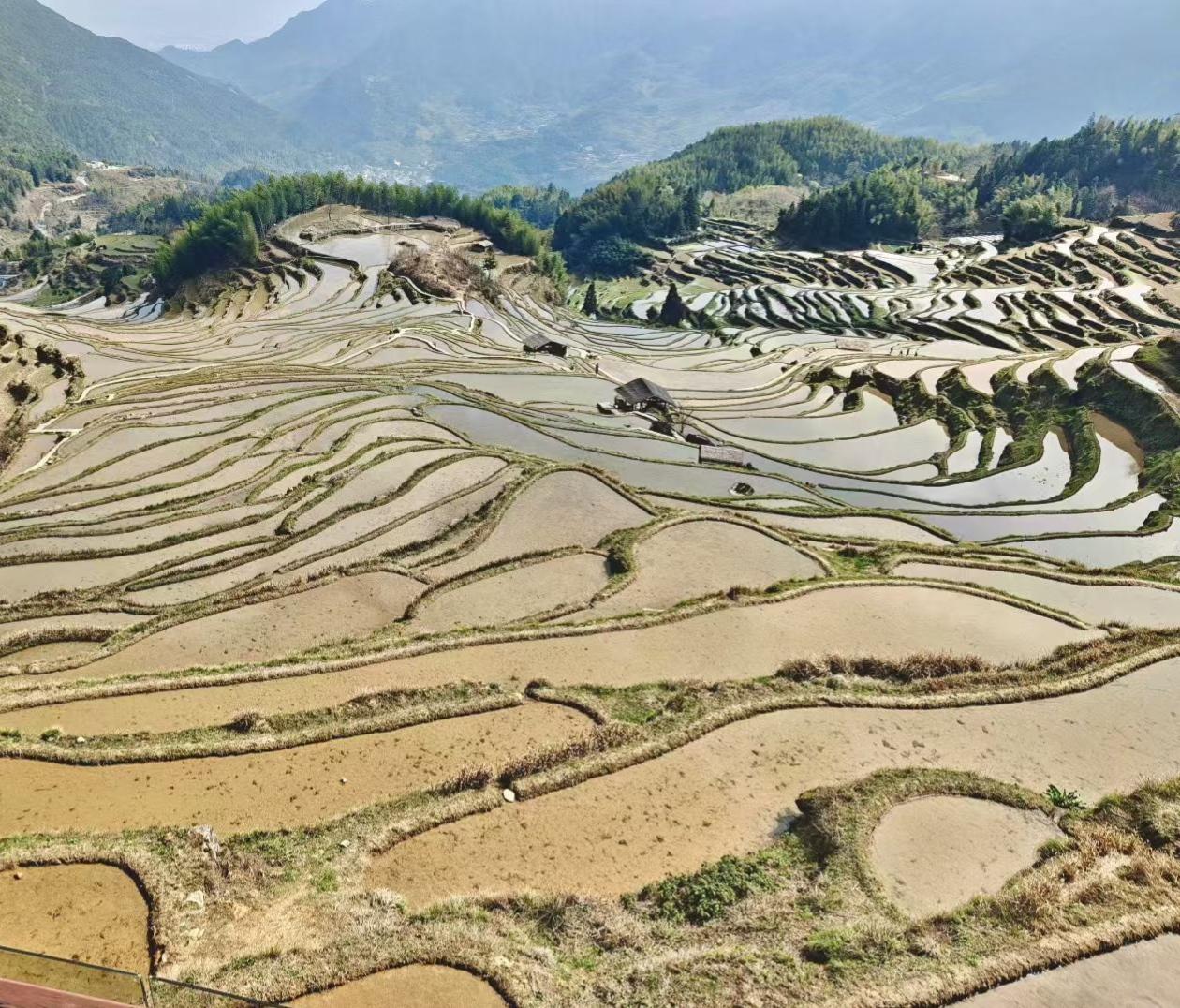 2. 把目光投向山野，看梯田如大地的脉络，顺着山势缓缓铺展。春日的暖阳洒在水面，