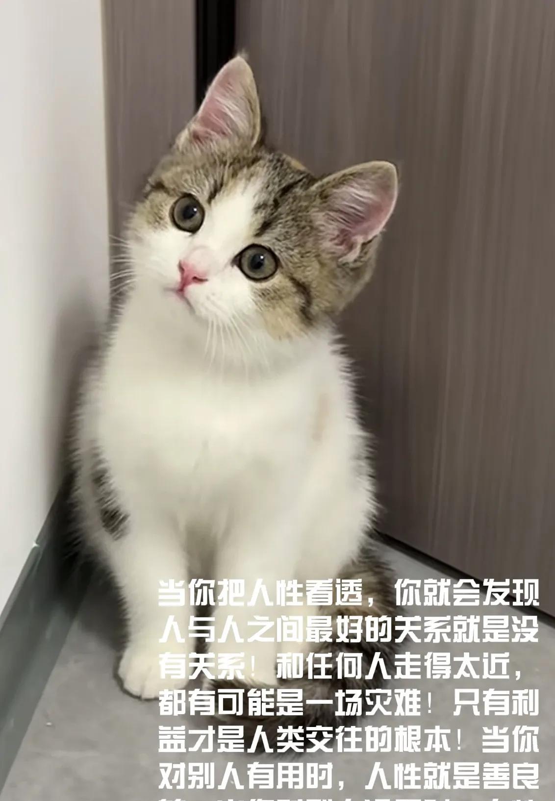给大家讲个真实的故事，一个人心性不稳、没有主见、会把自己害得有多惨！我一个朋友