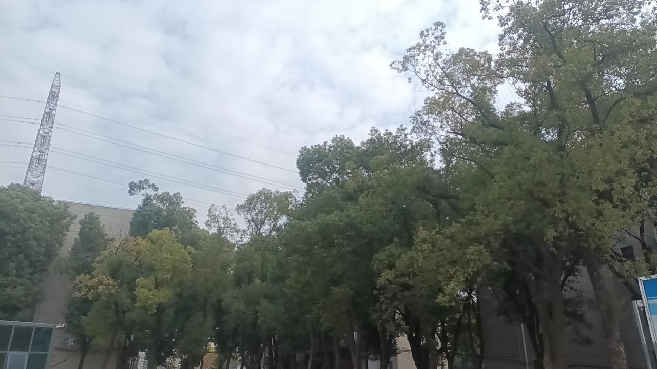 晨起吃鸡蛋有哪些好处?晨起吃鸡蛋，这个看似简单的习惯，却隐藏着许多令人惊喜的健康