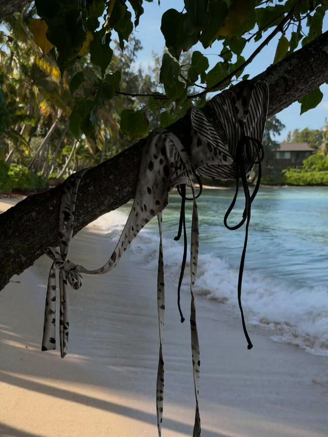 Jennie更新比基尼照👙🌴