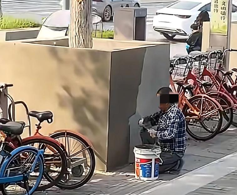 这样的操作实属罕见陕西西安凤城八路附近，有人看到很多工作人员把路边的大树用水泥