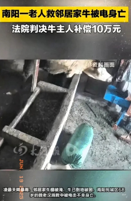 河南南阳发生一起因好心助人而丧命的悲剧。68岁的魏老汉在家中吃饭时，外面突然下起