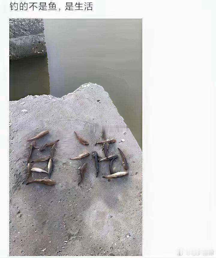这才是钓鱼的真正目的​​​