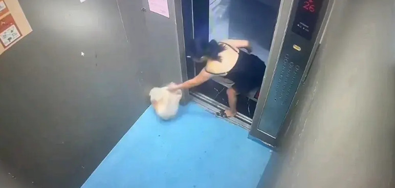 某小区的电梯又坏了，业主气的开始骂物业。物业也感觉冤屈，刚修好，又坏了，他们也