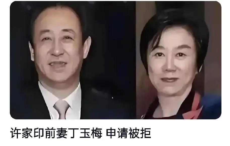 我滴妈耶！许家印你媳妇也太牛逼了吧！50岁产房消毒水味道刺鼻的深夜，丁玉梅咬