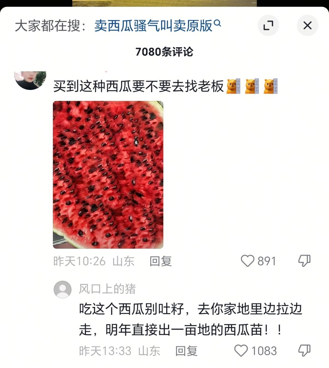 哈哈哈哈哈