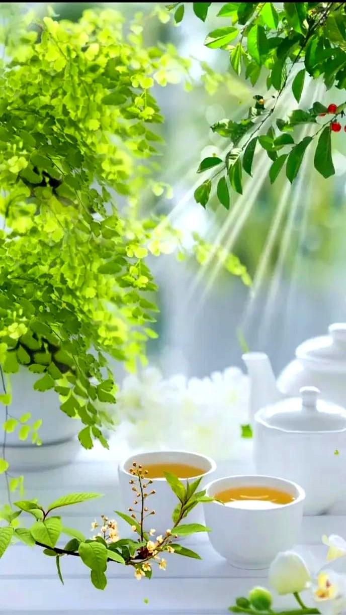 茶室非得砸钱？明朝书斋早给出答案项脊轩巴掌大的地方，归有光写出千古名篇。桂