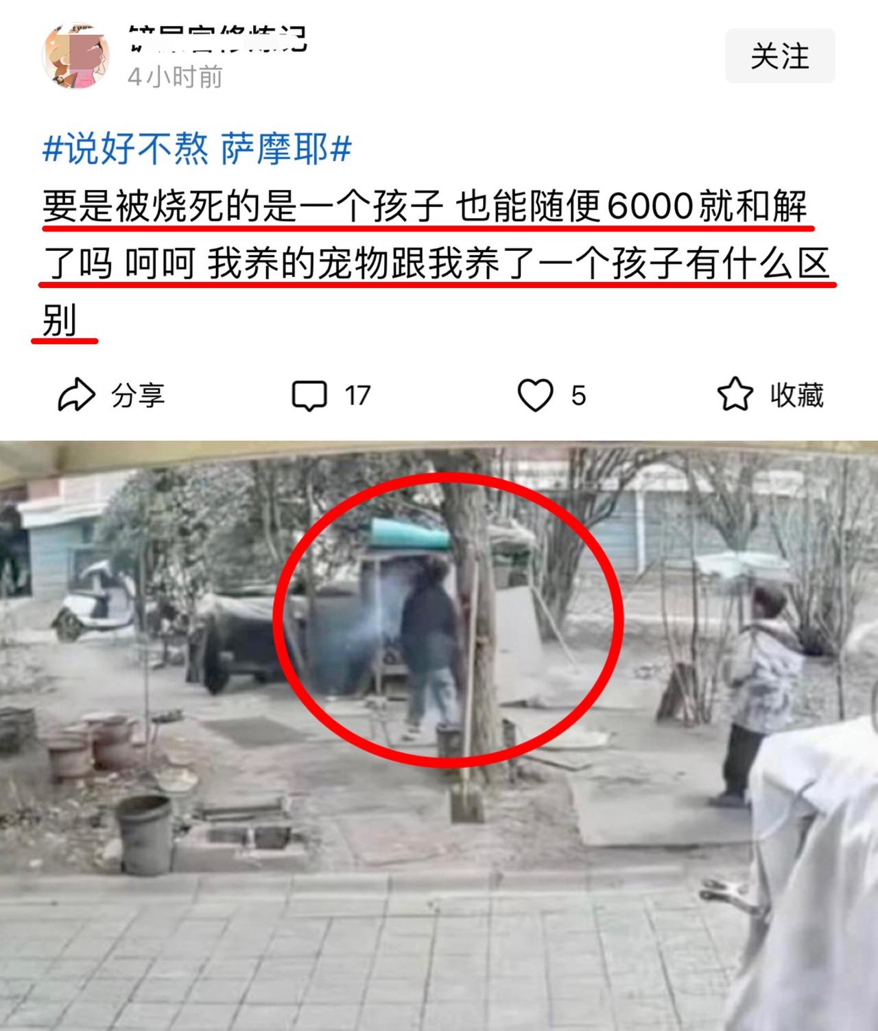 风向真的有点偏，这位作者主张小狗和孩子一样，狗权等同于人权，6000元和解是对宠