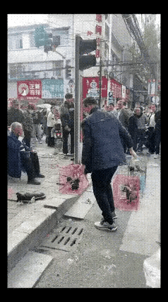 马路上那一幕真的让我浑身发毛！大哥提着拴绳小狗轮圆胳膊往水泥地上