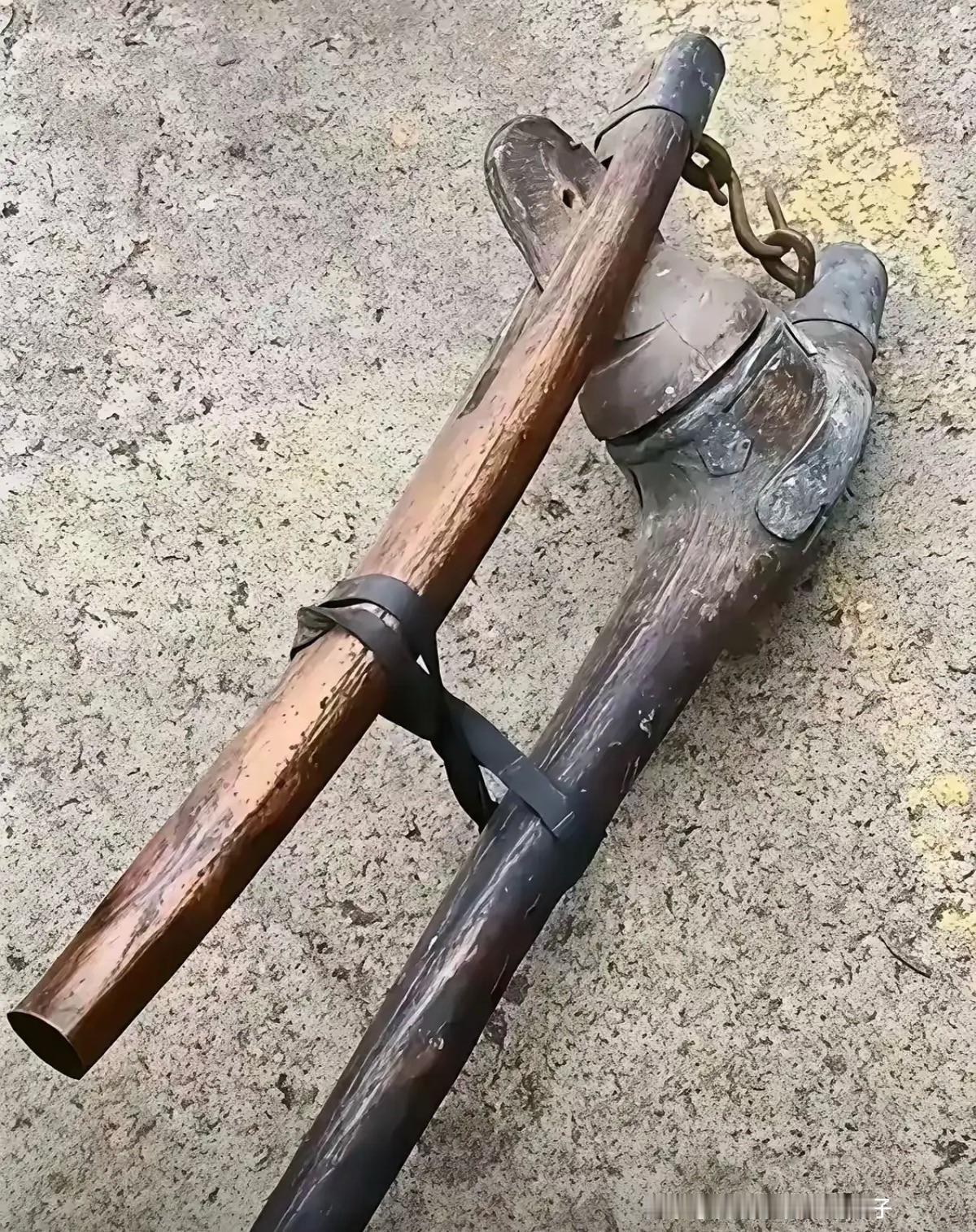 这东西看着挺特别的，有知道是什么的吗？？