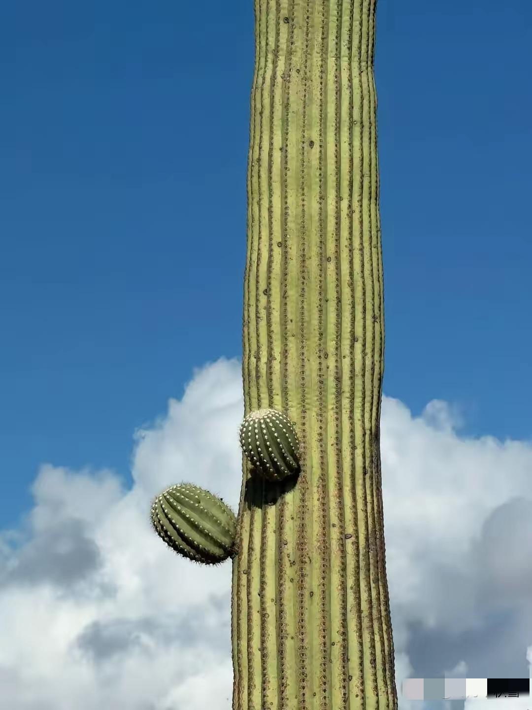 军人如果战死沙场，马革裹尸，倒也无可厚非，但一个曾经保家卫国的英雄，没有在硝烟弥