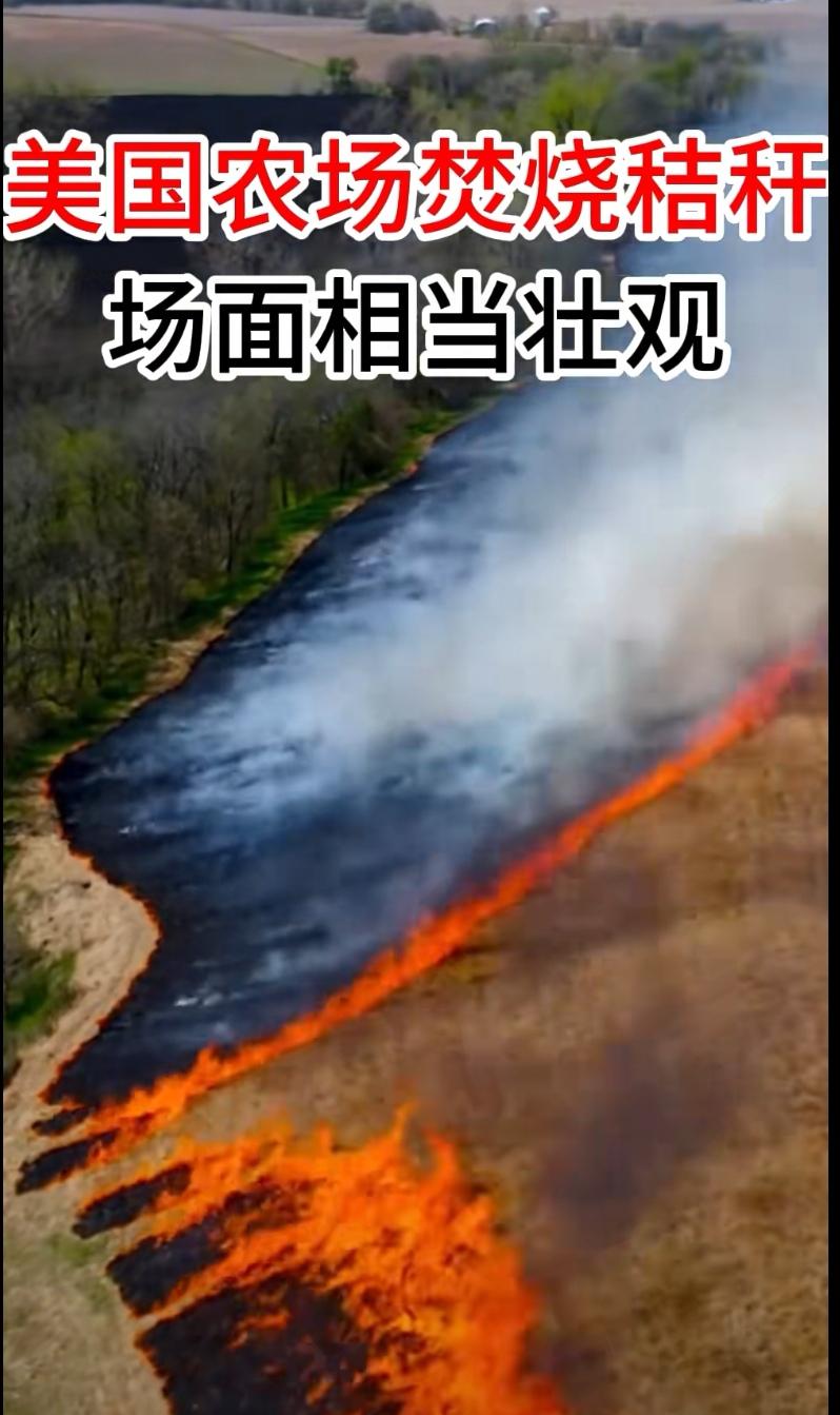 而事实上，人工生产的化肥仅仅是我们所知道植物生长所需要的一部分肥料，而对于植物生