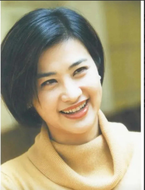 2000年，凤凰卫视主持人吴小莉为了却父亲心愿，到浙江寻找同父异母的哥哥，不料，