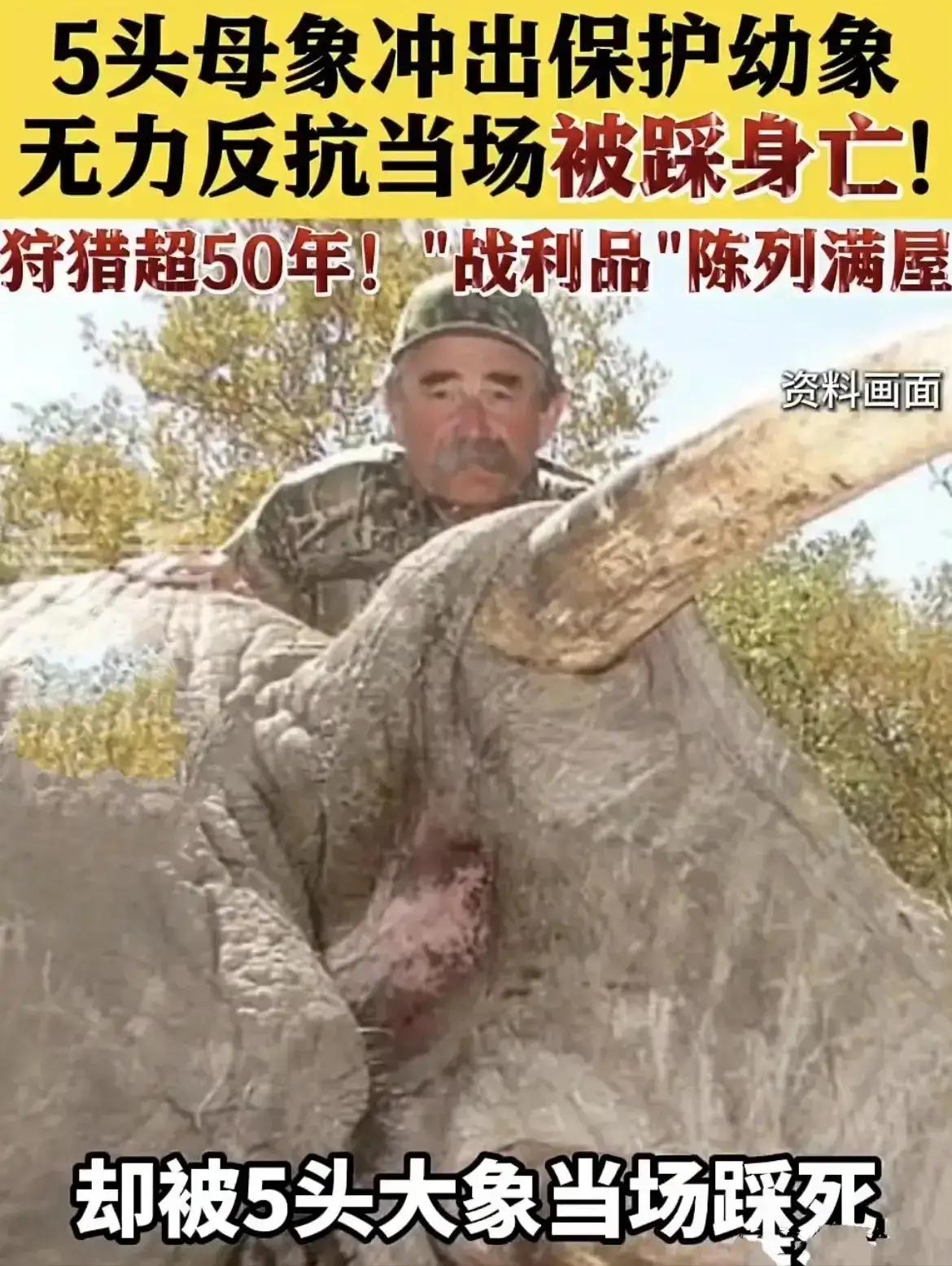 狩猎50年的75岁富豪，被五只大象踩死，因果轮回，苍天饶过谁？天道有轮回，苍天饶
