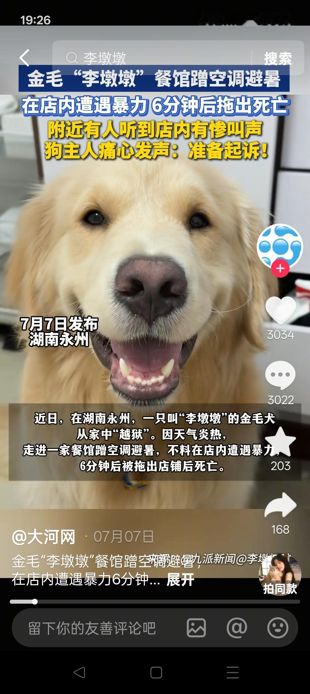 媒体不应偏向宠物，需顾及最广人民心声！现在有一个舆论倾向，官媒竟然都逐渐把