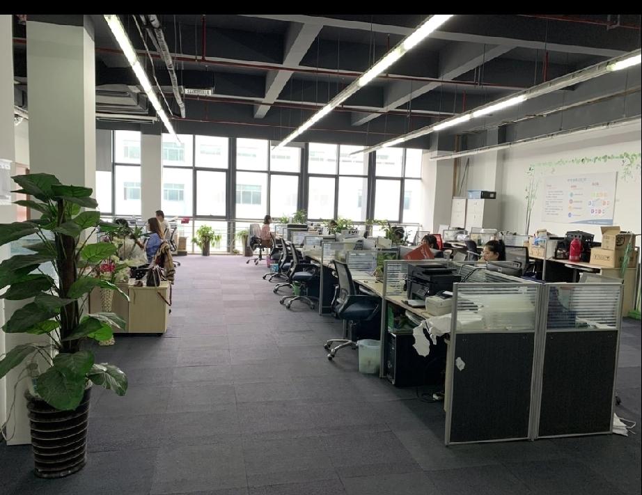 六年前，我在一家销售公司做财务，这家公司也就30多个人。其中有一个与我关系不错的