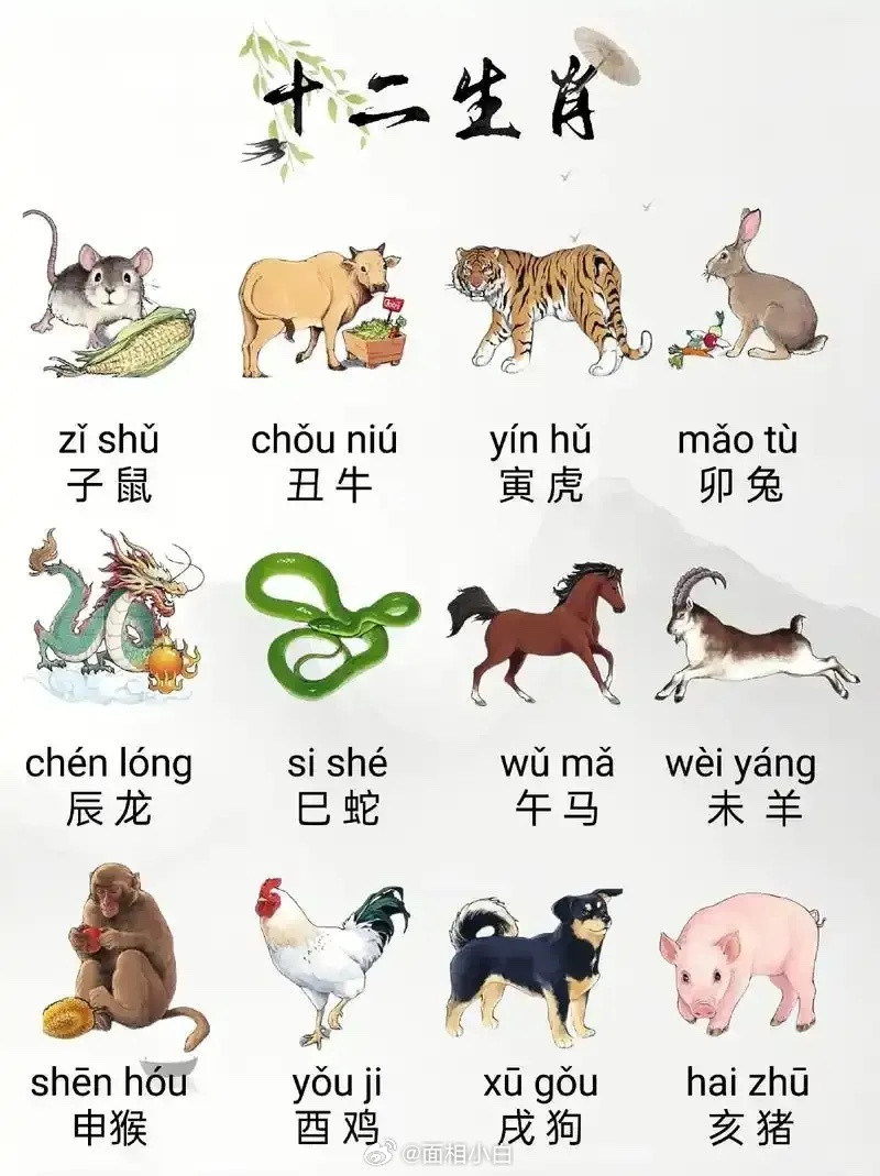 十二生肖出生在几月，就决定了你是什么命（阴历）：生七月：蛇、虎、兔、劳累命生十月：牛、马、狗、旺财命