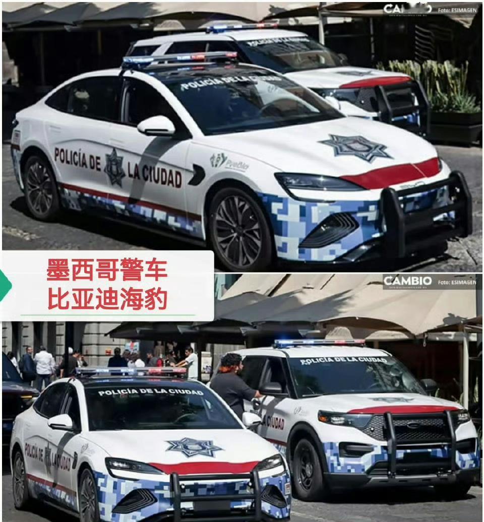 当巴西总统座驾换成比亚迪，当墨西哥警队开上鲨鱼皮卡，当匈牙利的巡逻车换成元Plu