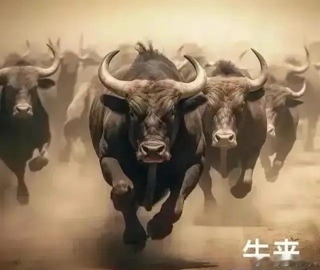 根据莎莎观察，大盘今天守住3816点没有问题！从今天早盘的情况来看，很显然主力是