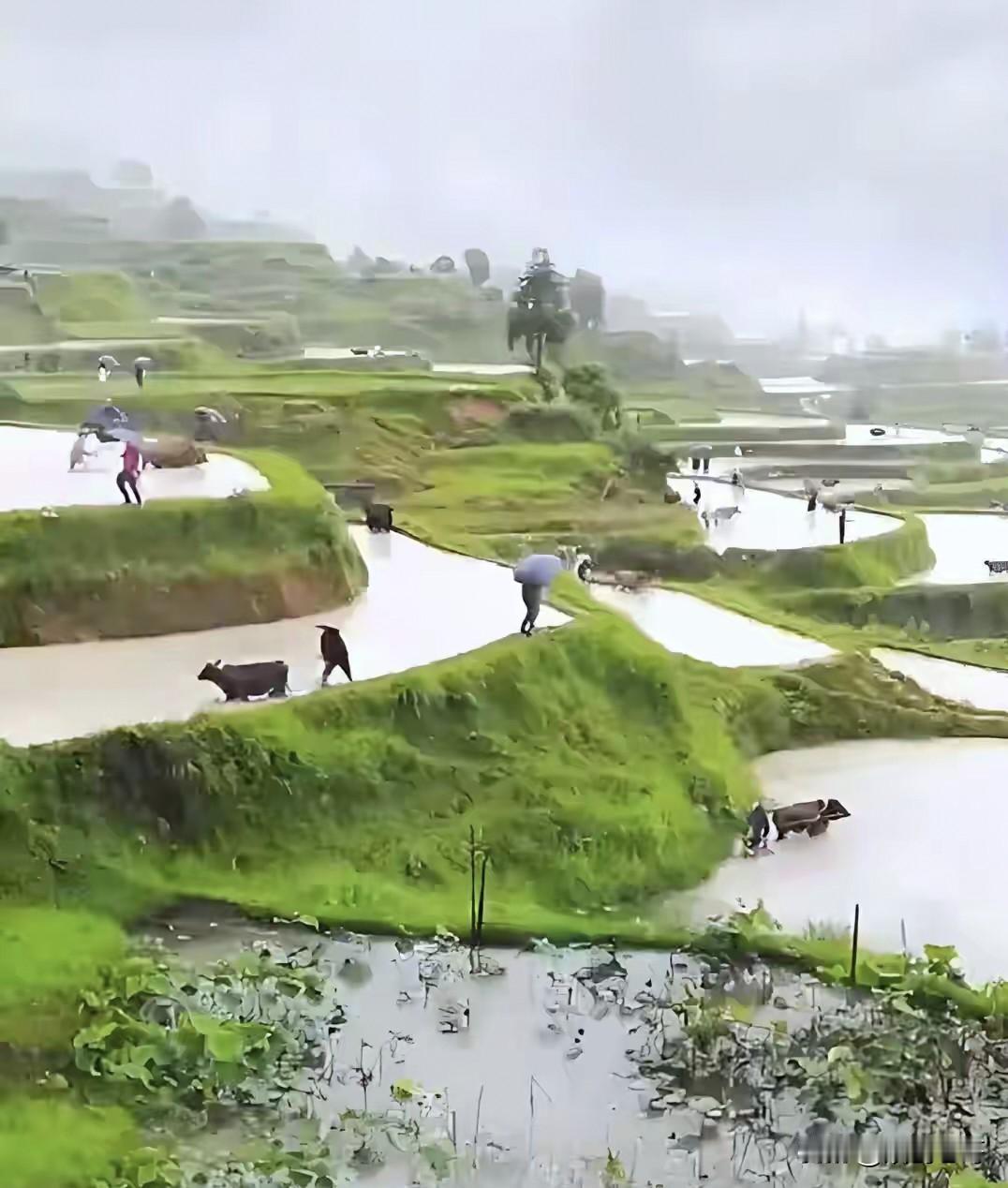 僵化守旧的都是哪些人1.在讲出身论阶级的年代自诩根红苗正的人2.讲阶级斗争时