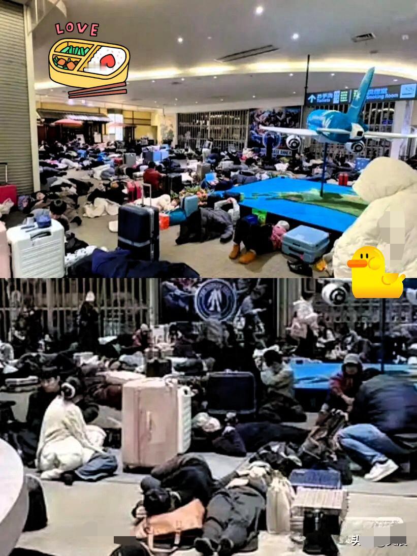 “不听劝的下场，”北海道那几场大雪，可真让人心里五味杂陈。本以为同胞滞留