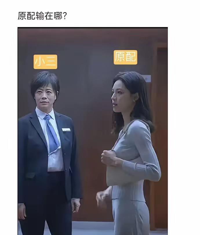 相信大多数看过这个电视剧！有人问：原配输在哪里？男人出轨的原因复杂多样，往往