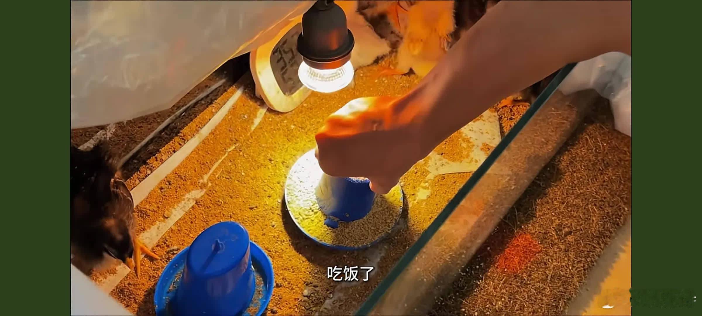 真是没想到，郑恺居然娶了这么一个宝藏老婆。最近才刷到苗苗的视频，才知道她是郑
