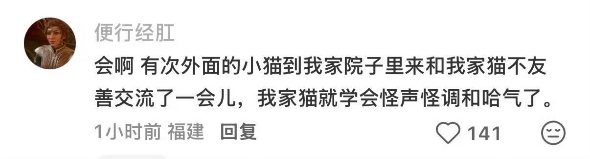 原来猫猫也会互推有无的嘛