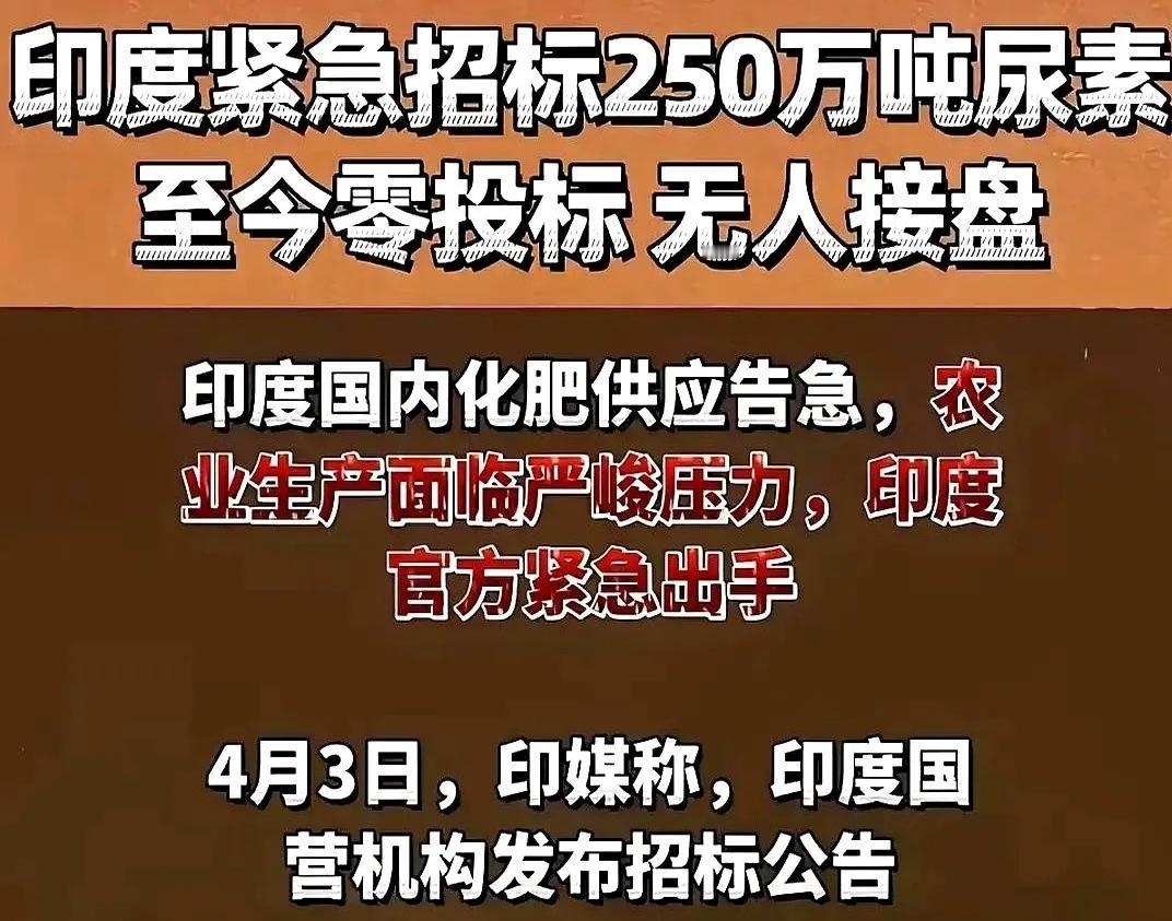 印度最近办了件大事，全球招标买尿素，公告发出去，就一句话撂桌上：你们这些供应商，