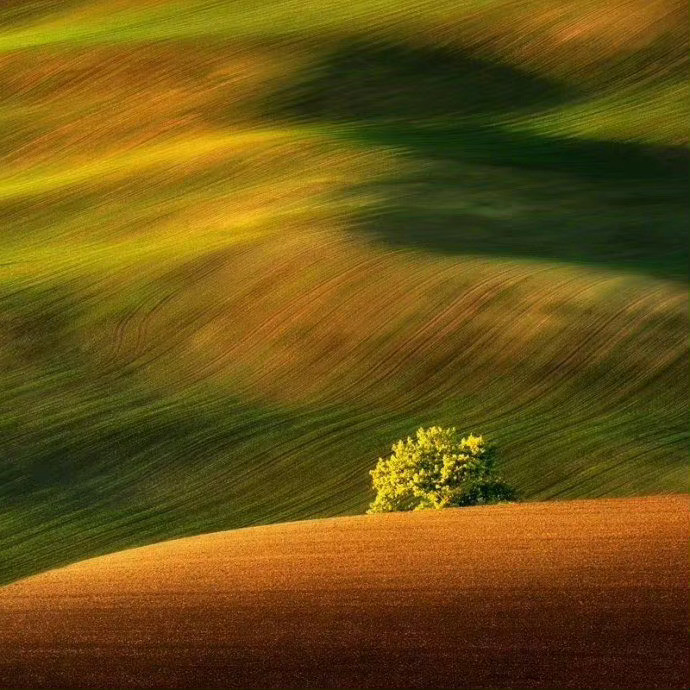 五岳归来不看山，黄山归来不看岳。