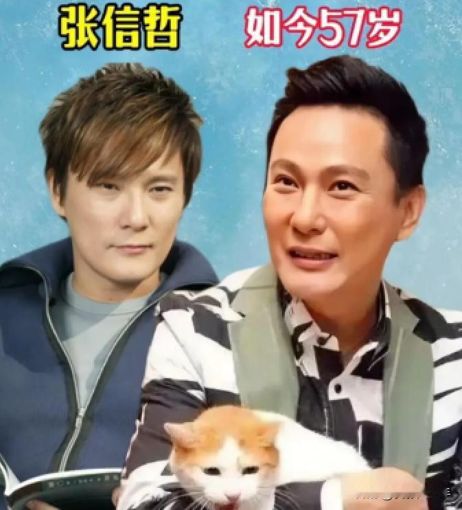 在很多人的传统观念中，男人要结婚传宗接代才算圆满，但演艺圈内有这么几位男明星，年