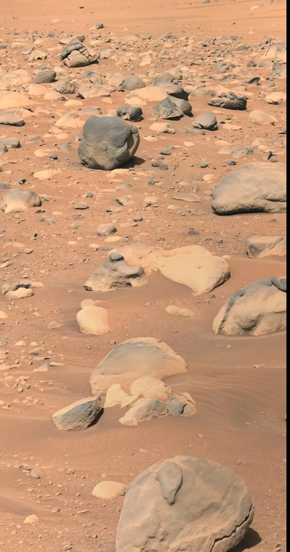 NASA传回的火星表面高清照片，看起来好像海底化石，难道火星上真的出现过生命？