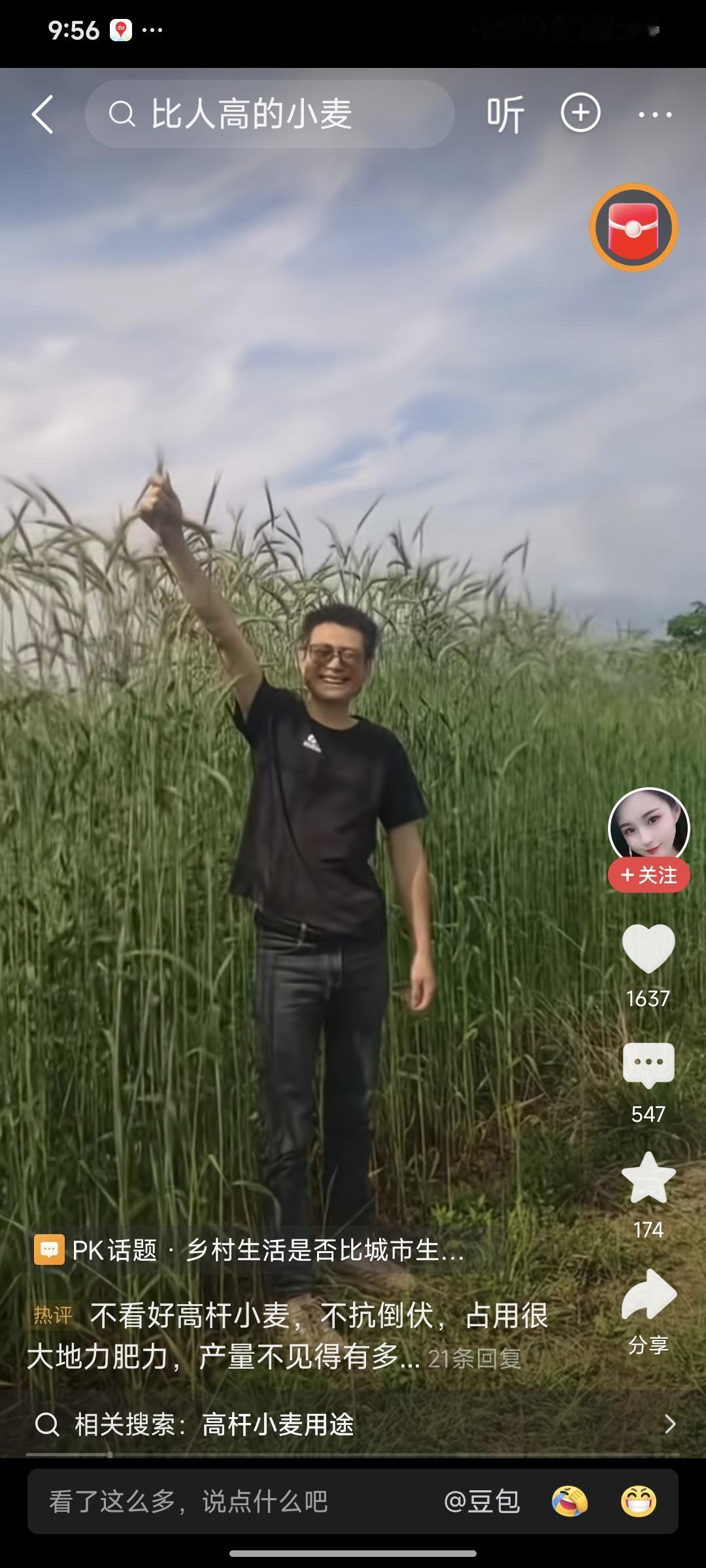 神奇的高杆小麦现在的科技越来越厉害了，刚才在视频里看到了两米左右的小麦，看得