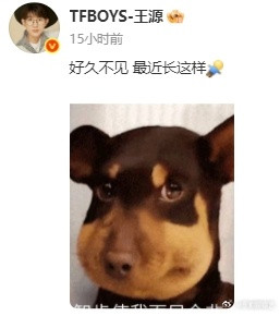 王源连emoji都是精挑细选真的是太可爱了吧，看到这个表情包的时候，真的是把我都